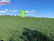Prodej zemědělské půdy, Bystročice, 7076 m2