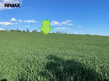 Prodej zemědělské půdy, Bystročice, 7076 m2