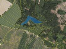 Prodej lesa, Smilovy Hory, 23595 m2