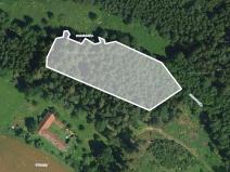 Prodej lesa, Hořepník, 6843 m2
