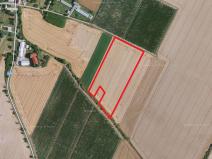 Prodej zemědělské půdy, Chotiněves, 7716 m2