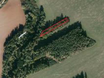 Prodej lesa, Všehrdy, 1338 m2