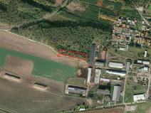 Prodej lesa, Sokoleč, 3339 m2