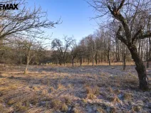 Prodej pozemku pro bydlení, Březnice, 2661 m2