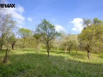 Prodej pozemku pro bydlení, Březnice, 2661 m2