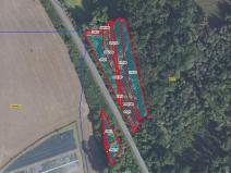 Prodej lesa, Poděbrady, 5736 m2