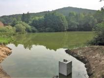 Prodej rybníku, Chudenice, 7691 m2