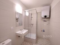 Pronájem bytu 1+kk, Čížová - Topělec, 23 m2