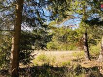 Prodej lesa, Chotěmice, 4650 m2