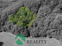 Prodej pozemku, Malečov - Čeřeniště, 3543 m2