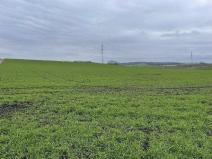 Prodej zemědělské půdy, Těšany, 5339 m2