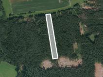 Prodej lesa, Chrbonín, 9535 m2