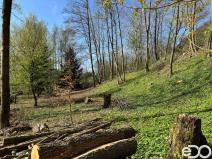 Prodej pozemku pro bydlení, Malá Skála, 3895 m2