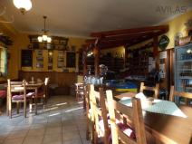 Prodej restaurace, Týnec nad Sázavou - Pecerady, 876 m2