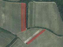 Prodej zemědělské půdy, Horní Věstonice, 11161 m2