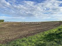 Prodej zemědělské půdy, Ústín, 34065 m2