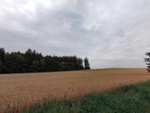 Prodej zemědělské půdy, Červený Újezd - Horní Borek, 23308 m2