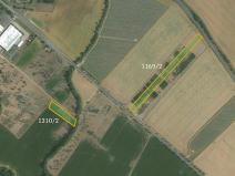 Prodej zemědělské půdy, Čáslav, 13880 m2