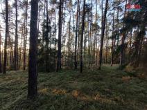 Prodej lesa, Štichov, 59400 m2