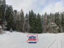 Prodej lesa, Horní Bukovina, 14776 m2