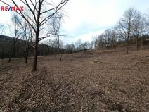Prodej pozemku pro bydlení, Votice, Fibichova, 8870 m2