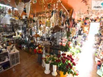 Pronájem obchodního prostoru, Ledeč nad Sázavou, Mostecká, 182 m2