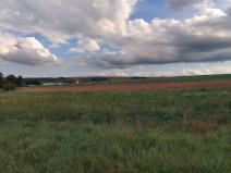 Prodej zemědělské půdy, Otovice, 26263 m2