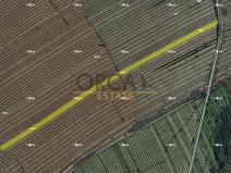 Prodej zemědělské půdy, Boršice u Blatnice, 7671 m2