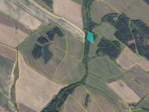 Prodej trvalého travního porostu, Broumov - Benešov, 4529 m2