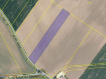 Prodej zemědělské půdy, Katusice, 12908 m2