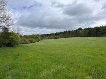 Prodej zemědělské usedlosti, Jivina, 895 m2
