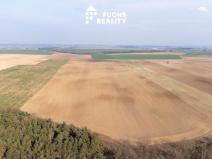 Prodej zemědělské půdy, Břežany II, 135540 m2