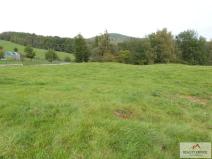 Prodej pozemku pro bydlení, Malšovice - Nová Bohyně, 6828 m2