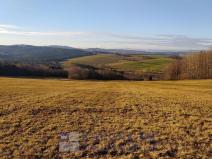 Prodej pozemku pro bydlení, Benešov nad Černou - Kuří, 7089 m2