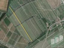 Prodej zemědělské půdy, Boršice u Blatnice, 2778 m2