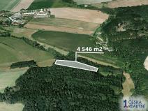 Prodej lesa, Břežany, 4546 m2