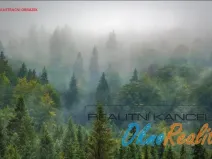 Prodej lesa, Křečkov, 339223 m2