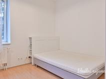 Pronájem bytu 1+kk, Brno - Zábrdovice, Cejl, 26 m2