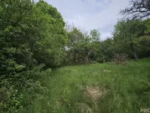 Prodej sadu/vinice, Koryčany, 4253 m2