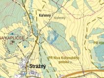 Prodej trvalého travního porostu, Strážný - Hliniště, 5547 m2