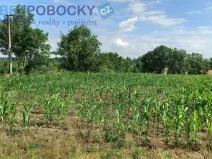 Prodej komerčního pozemku, Havlíčkův Brod - Termesivy, 20005 m2