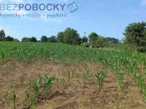 Prodej komerčního pozemku, Havlíčkův Brod - Termesivy, 20005 m2