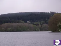 Prodej podílu 1/3 pole, Přední Výtoň, Přední Výtoň, 4039 m2