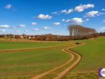 Prodej zemědělské půdy, Vodochody, Hoštice, 7272 m2