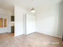 Pronájem bytu 1+kk, Praha - Karlín, Hybešova, 33 m2