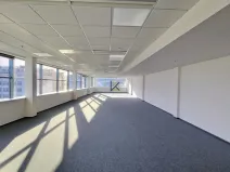 Pronájem kanceláře, Praha - Žižkov, Vinohradská, 505 m2