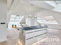 Pronájem bytu 4+kk, Praha - Vinohrady, Šafaříkova, 120 m2