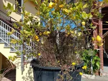 Prodej rodinného domu, 335 m2