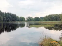 Prodej zemědělské usedlosti, Horní Radouň - Starý Bozděchov, 2600 m2