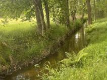 Prodej louky, Chlum u Třeboně - Žíteč, 360000 m2